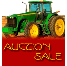 Auction Sale